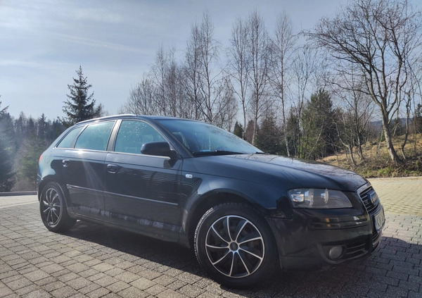 Audi A3 cena 12800 przebieg: 217000, rok produkcji 2007 z Proszowice małe 137